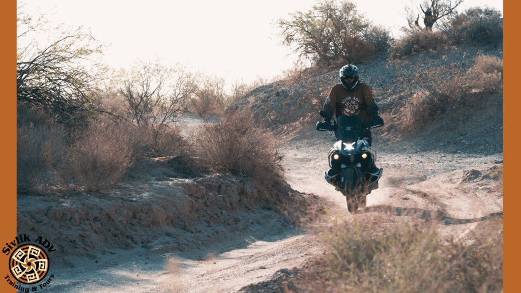 Summer Rides: Adjusting Riding Pace for High Temps and Rider Safety
